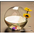 Terrarium en verre pour plantes à boules en verre suspendues